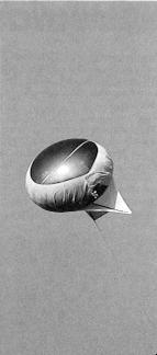 Op sommige plaatsen verjaagd men roeken door middel van zogenaamde heli-kites (luchtballonnen) ( Foto: H. Peeters )